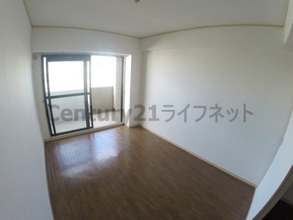 グレイスフル18