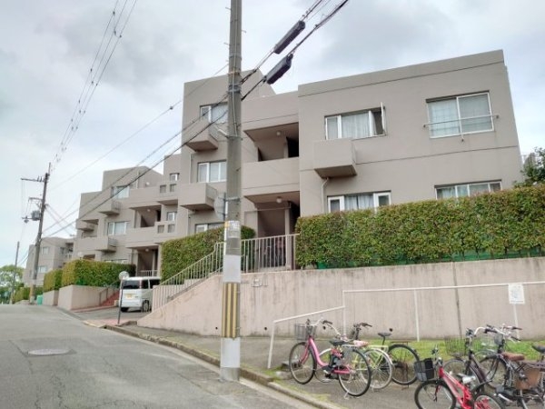 ライブタウン仁川