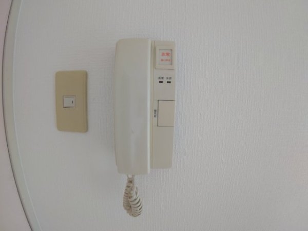 センチュリーショウエイ5