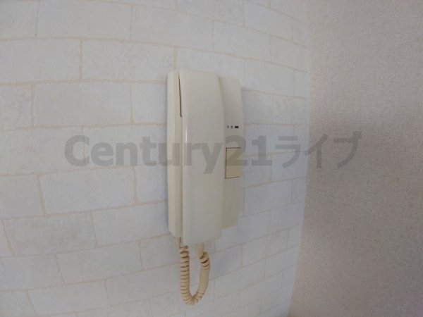 ステラハウス15