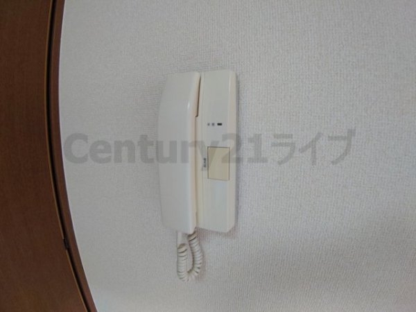 ステラハウス15