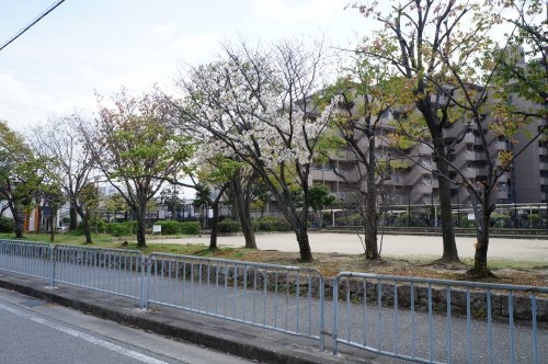 松井ハイツ(西野1丁目公園)