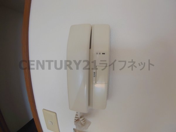 ヴィブレコート2