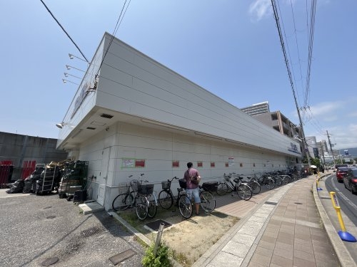 パールコート(サンディ)