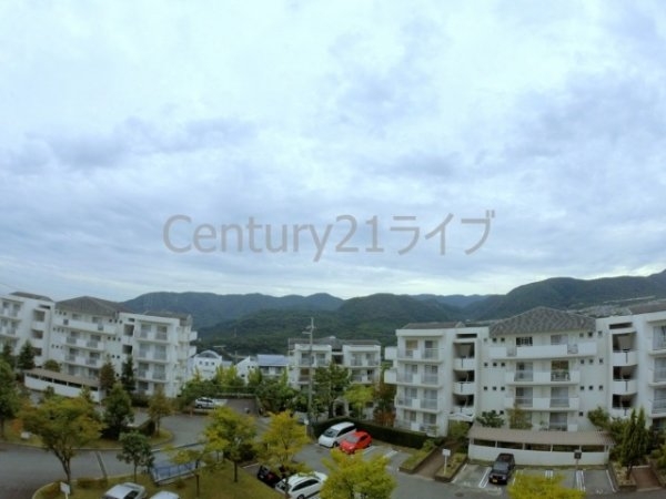 東山台ハイツ204号棟