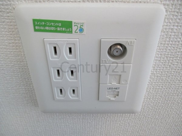 レオネクストモンブルー木部