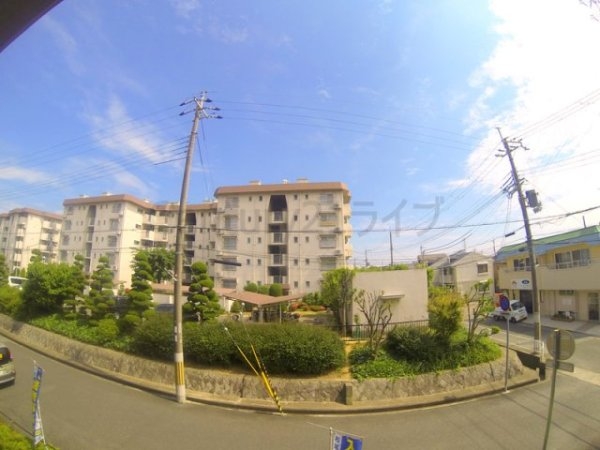 インペリアル樋ノ口