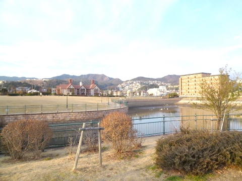 プエオテラス(山本新池公園)