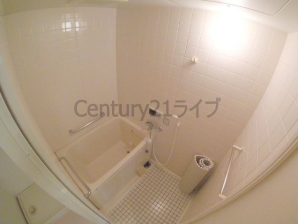プエオテラス