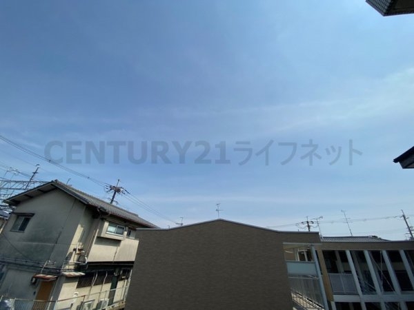 T・S石橋