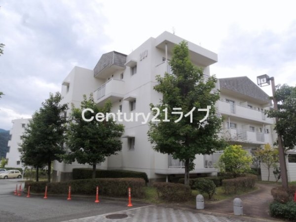 東山台ハイツ203号棟