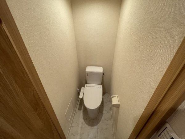 宝塚第三バイオレット