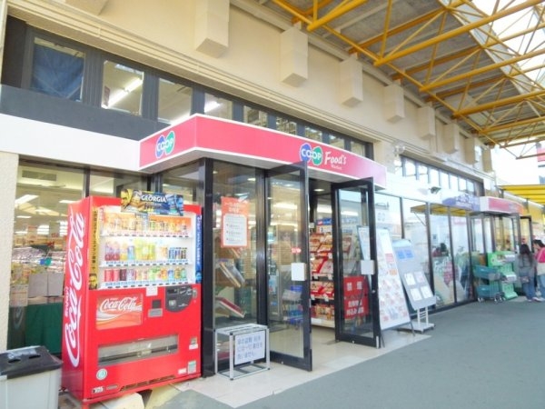 中山台2丁目貸家(コープ中山台)