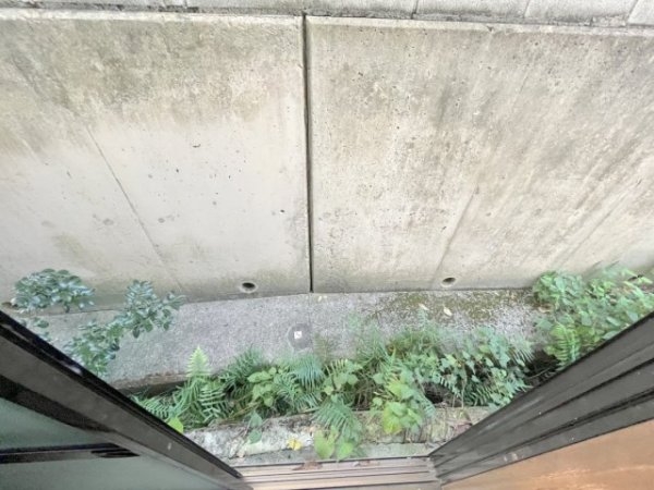 一庫2丁目テラスハウス