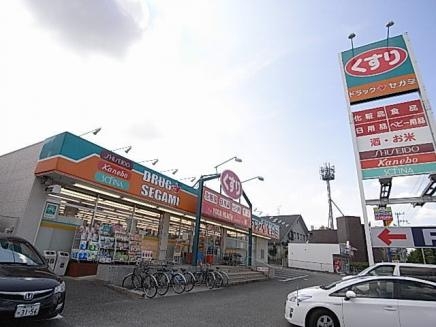 清風ハイツ(ドラッグセガミ清和台店)
