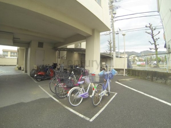 パインリーフ池田