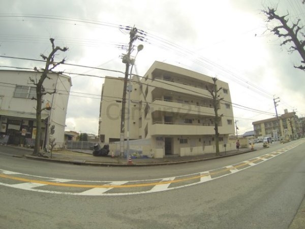 パインリーフ池田