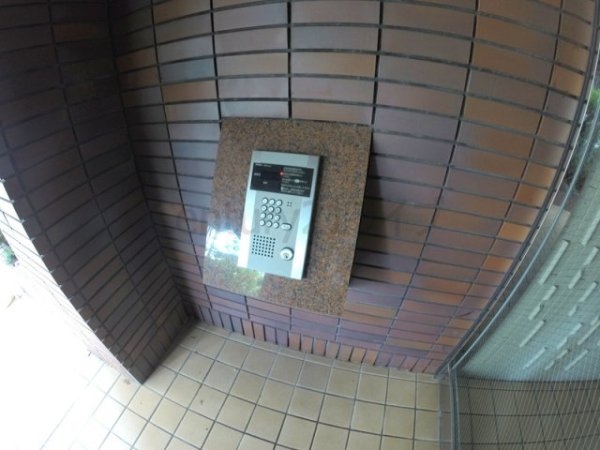 ダンディライオン宝塚２