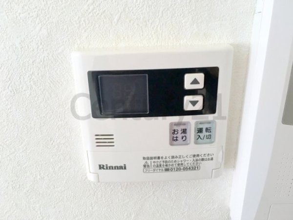 ダンディライオン宝塚２