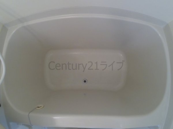 バイオレットコーポ