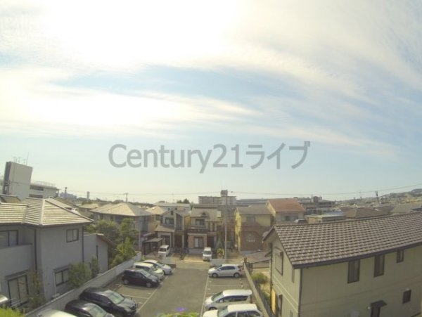 ノアーズアーク宝塚