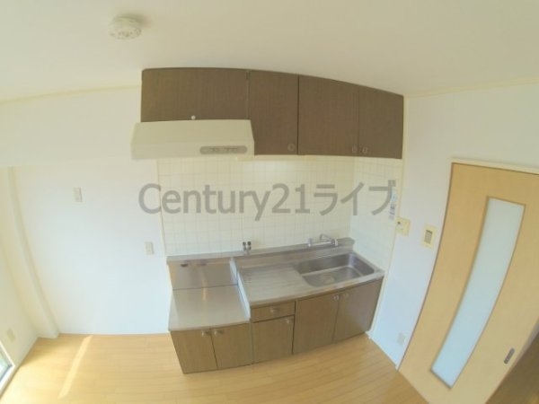 ノアーズアーク宝塚