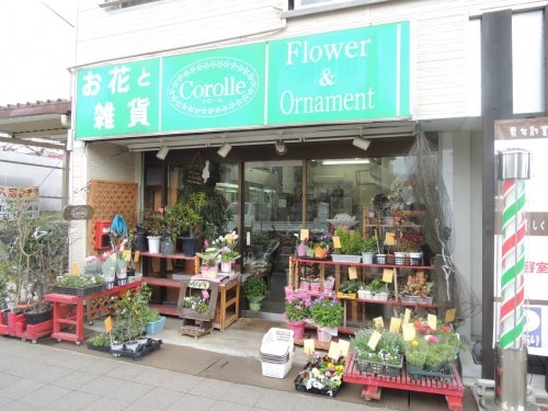 シェルプール弐番館(コロール)