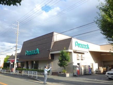 ロイヤルクイーンズパーク池田(旧オーティーハイツ池田)(大丸ピーコック 箕面桜ケ丘店)