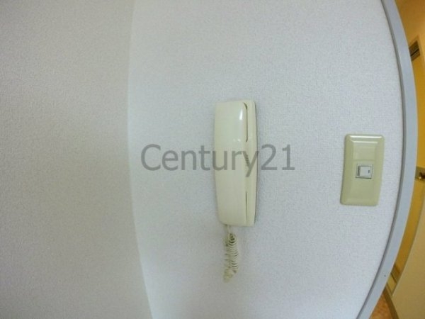 Renatus（レナトゥス）伊丹