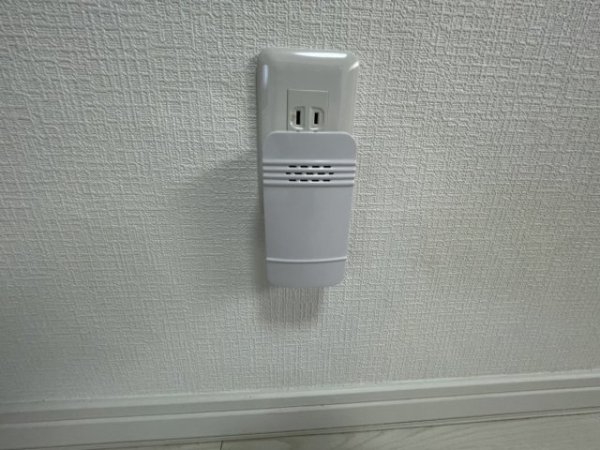 中州2丁目テラスハウス