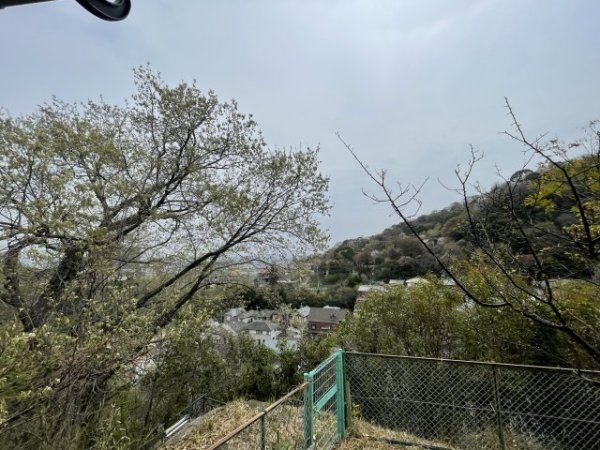 メイプルヒル
