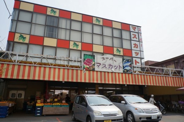 九坪マンション(スーパーマスカット)