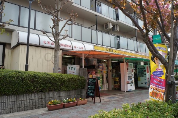 九坪マンション(ドラッグストア コトブキヤ)