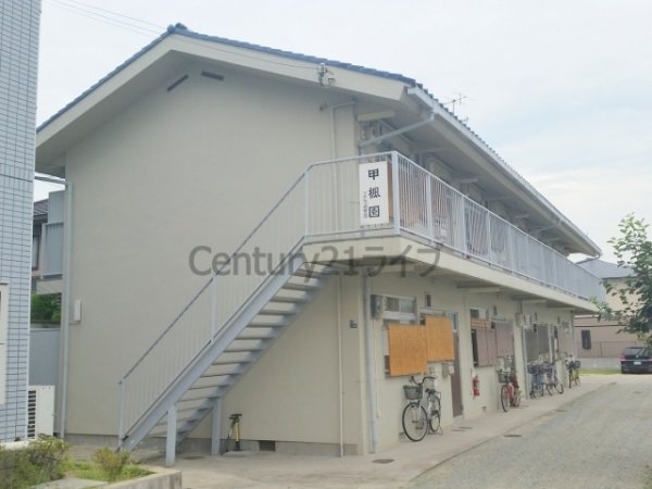 甲楓園