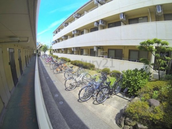 センチュリーショウエイ3