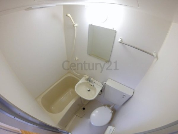 センチュリーショウエイ3