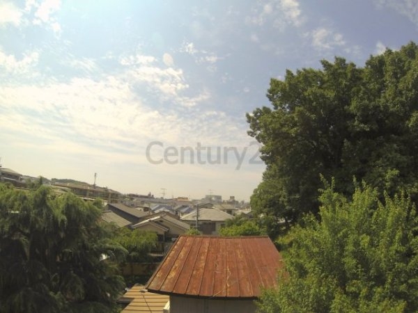 センチュリーショウエイ2