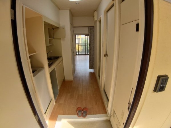 センチュリーショウエイ6