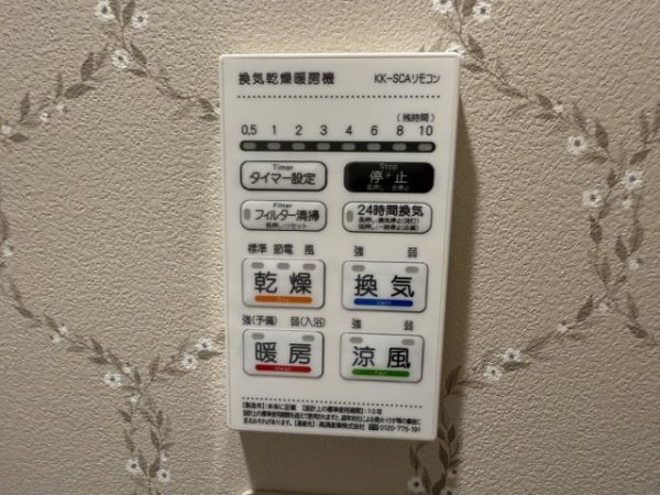 南文化