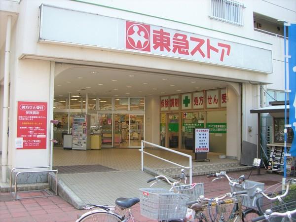 メゾンドK東林間 108号室(東急ストア東林間店)