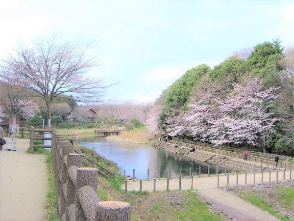 大和市中央4丁目のアパート(泉の森)