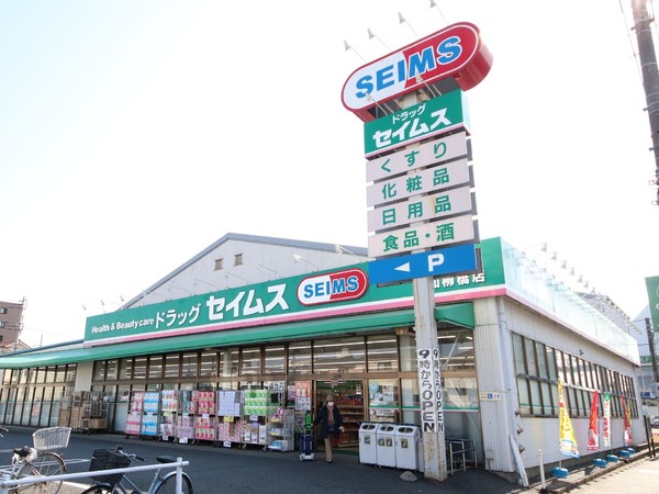 大和市柳橋４丁目の貸家(ドラッグセイムス大和柳橋店)