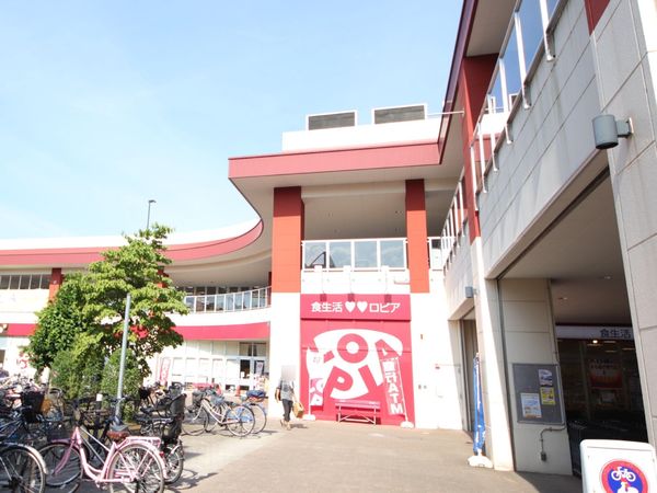 大和市つきみ野1丁目のマンション(ロピア中央林間店)