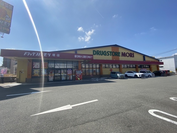 アドヴァンス城南(ドラッグストアモリ堤店)