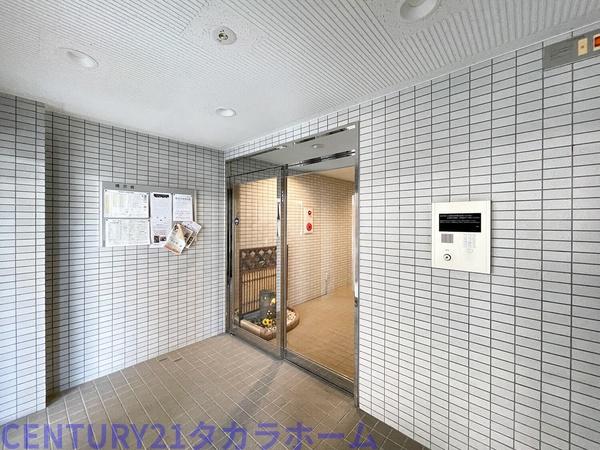 フォレストコート