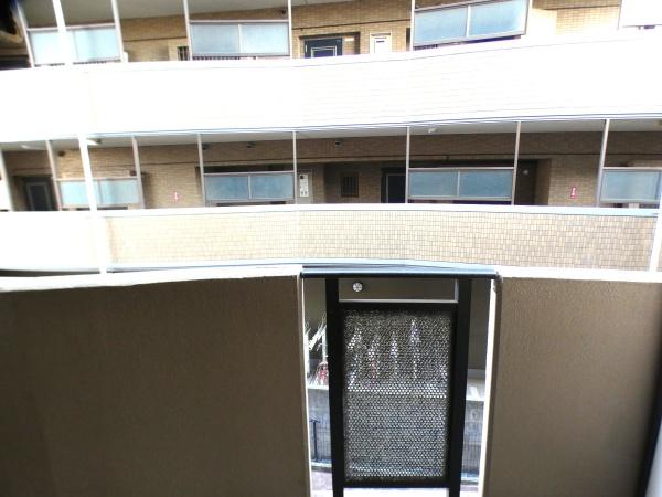 アスター大道