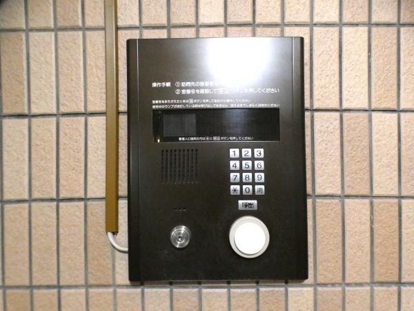 アスター大道
