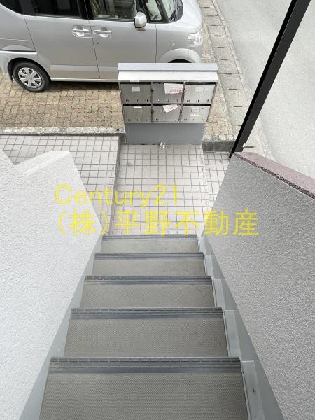 ホーキーポーキー