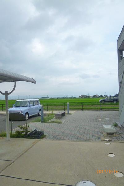 グリーンラティール