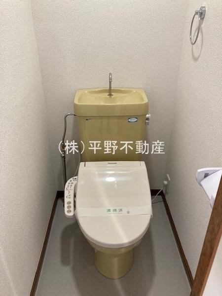 ルピナス